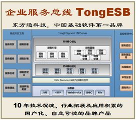 攜手東方通tongesb，共創數字化轉型新篇章 誠邀客戶、伙伴與渠道合作共贏